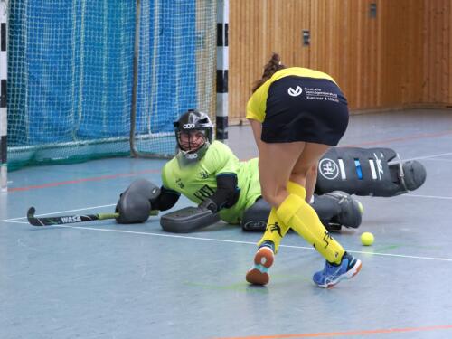 2023-01-29 HCL 2. Damen Aufstiegsspiel - 37
