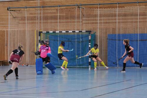 2023-01-29 HCL 2. Damen Aufstiegsspiel - 49