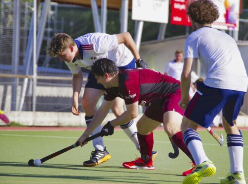 H2 vs Mannheimer-HC-3 20260620 033
