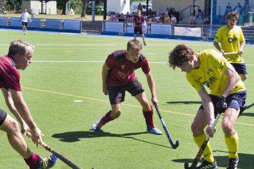 H3 bei TSV-LB 20250629 10